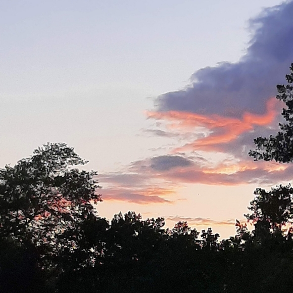 Please Make an Offer❣ - Picture 4 of 4